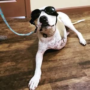 Meet your Posher, Shane